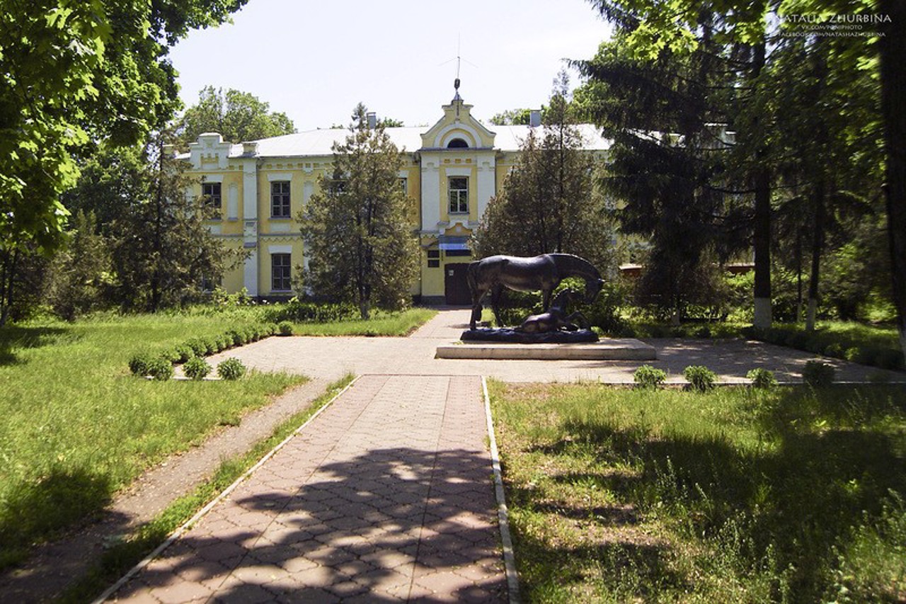 Dibrivka Horse Farm