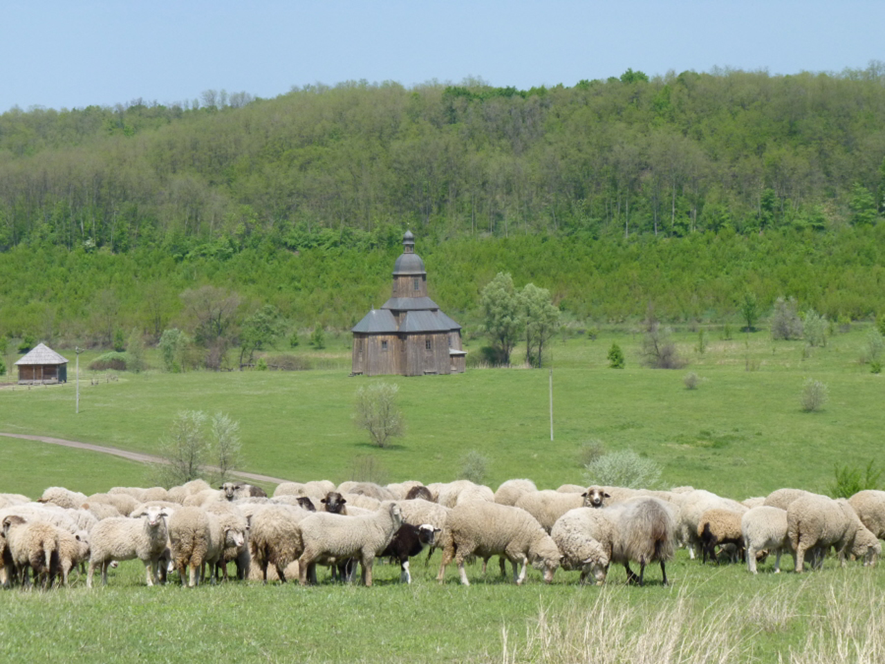 Cossack farm, Stetsivka