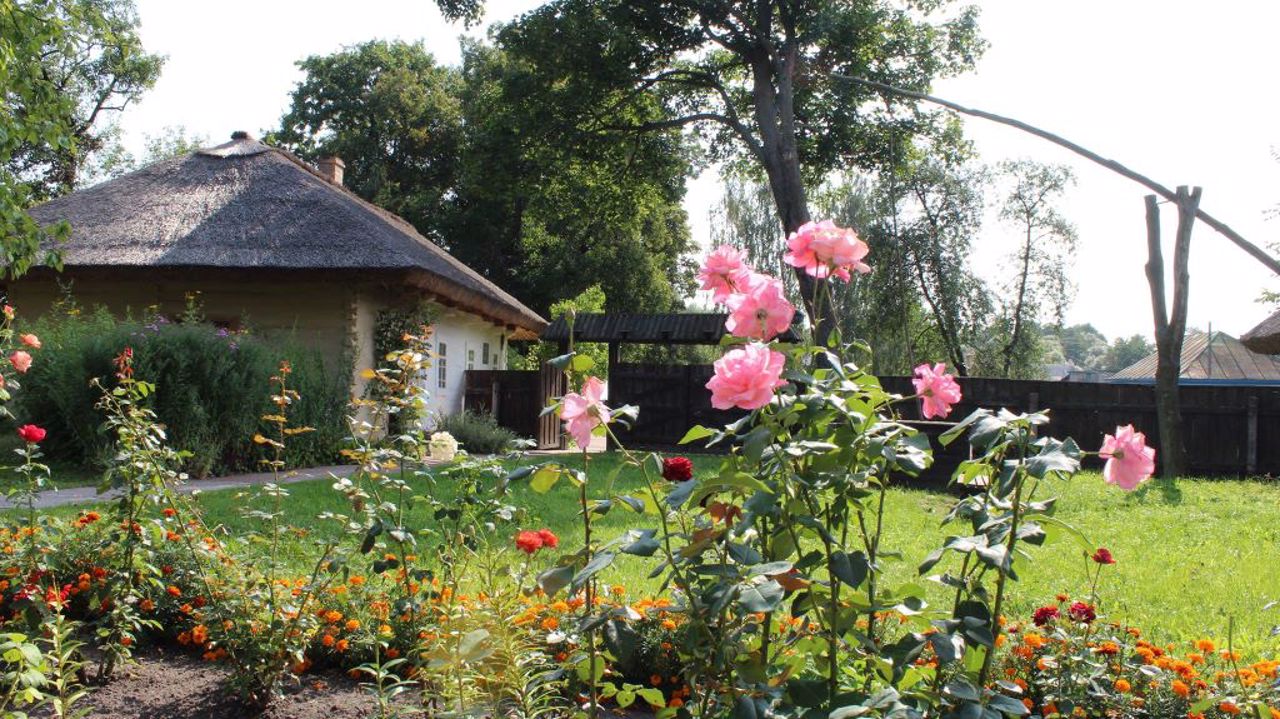 Dovzhenko Museum, Sosnytsia