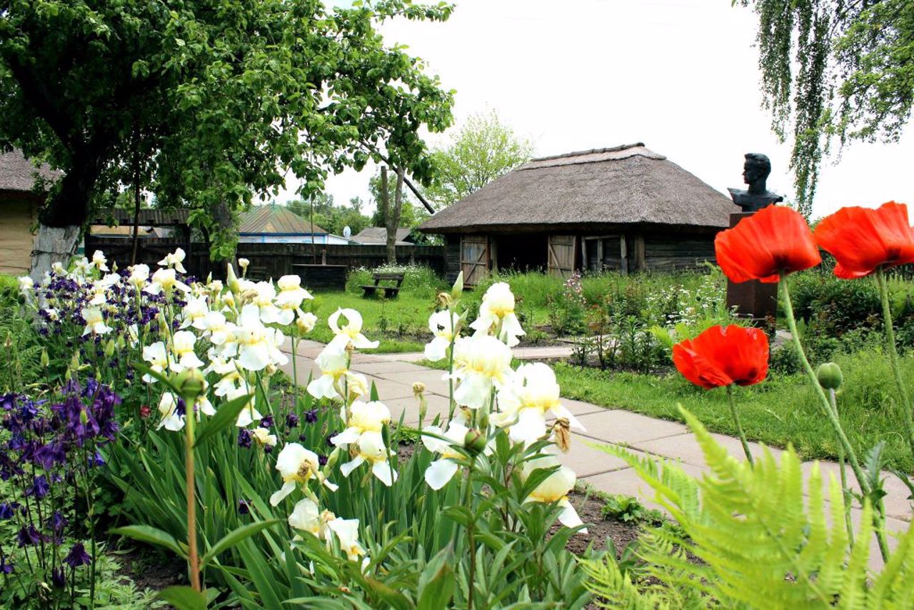 Dovzhenko Museum, Sosnytsia