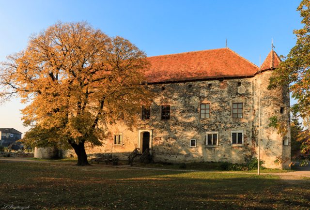 Saint Miklosh Castle, Chynadiiovo