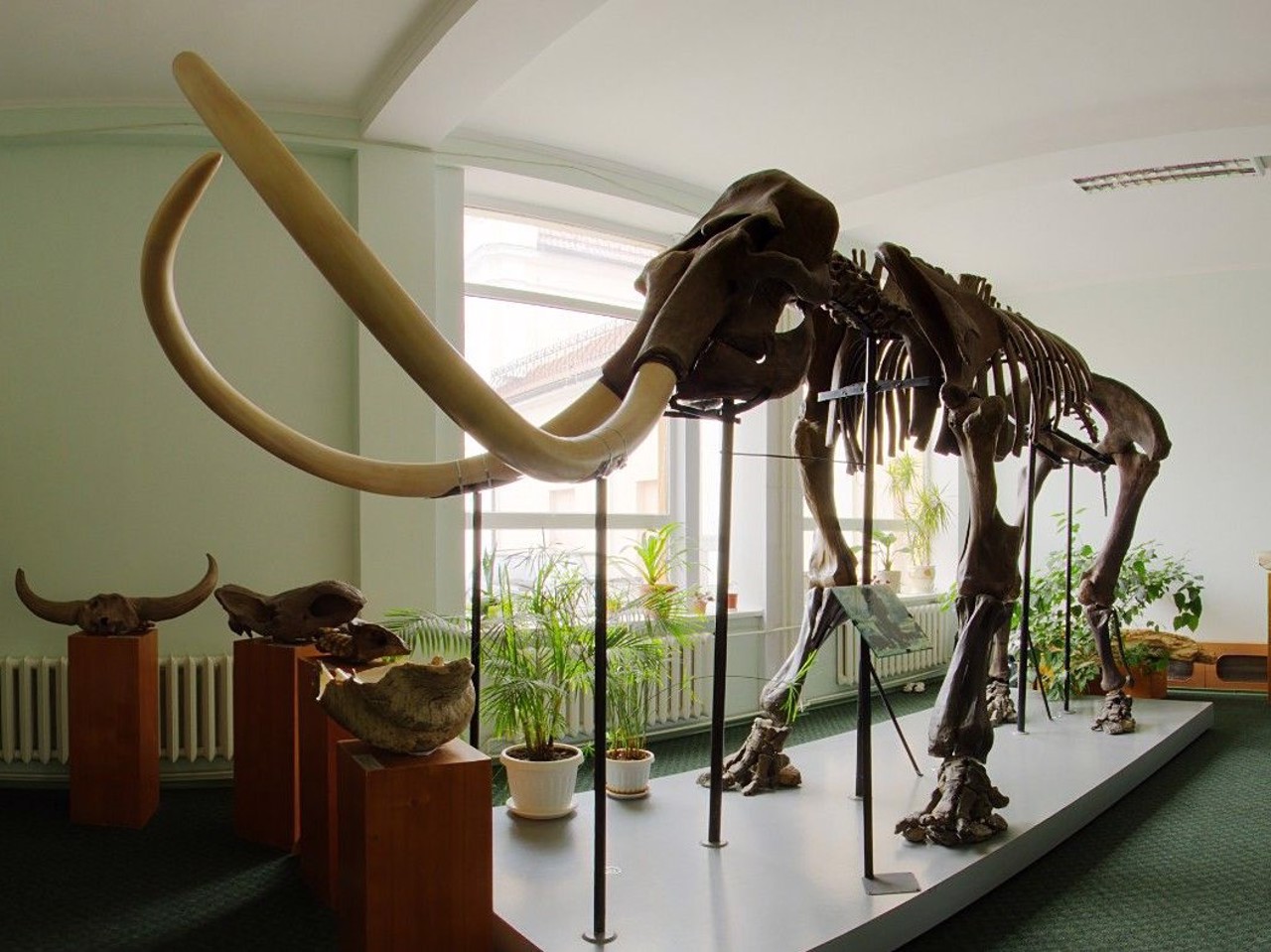 Vinnytsia Local Lore Museum