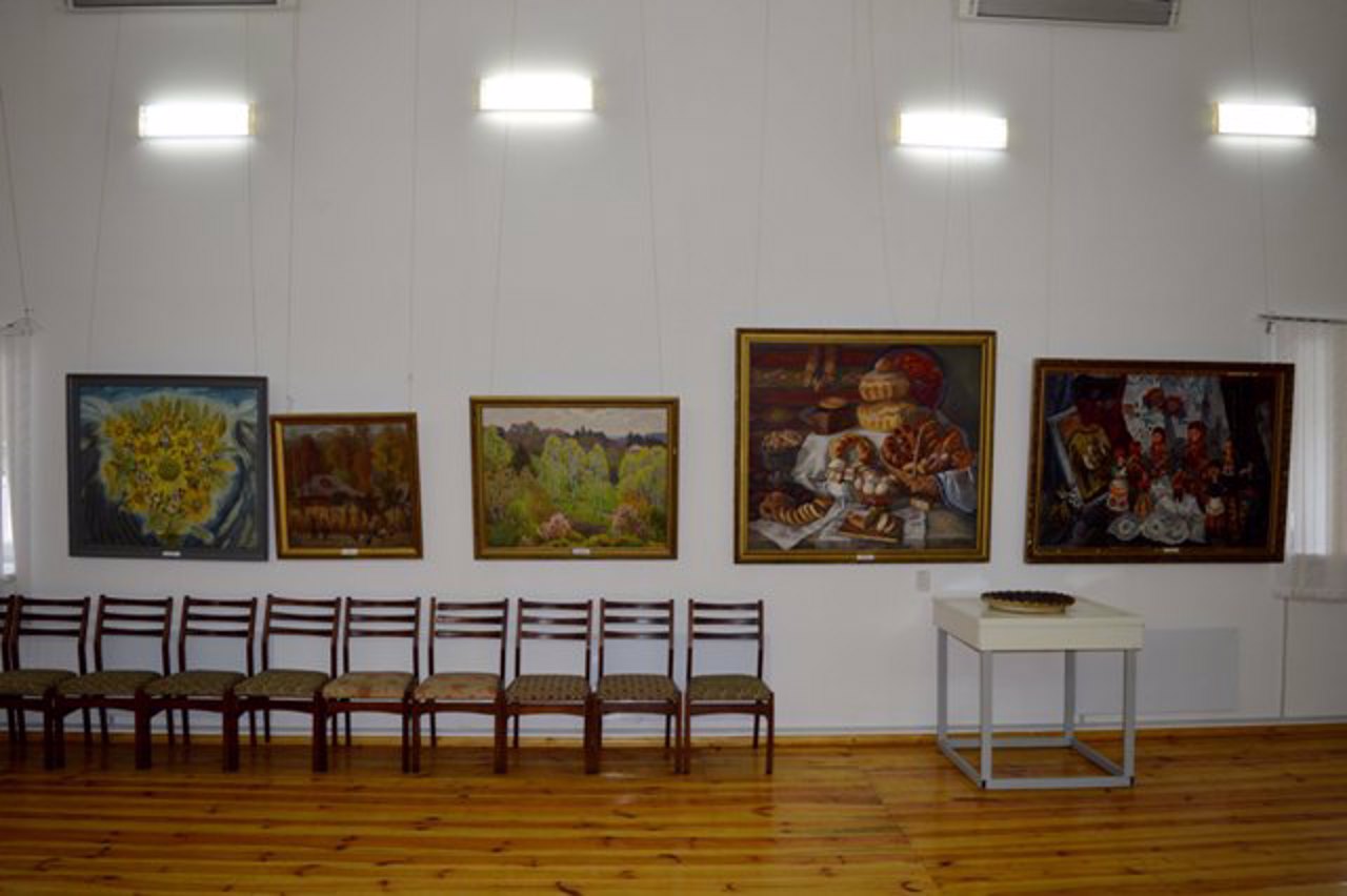 Музей изобразительного искусства, Шаргород