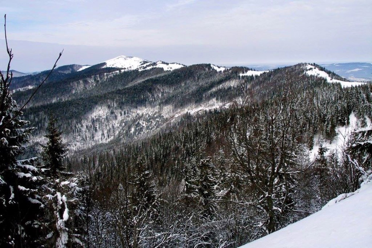 Skolivski Beskydy, Skole