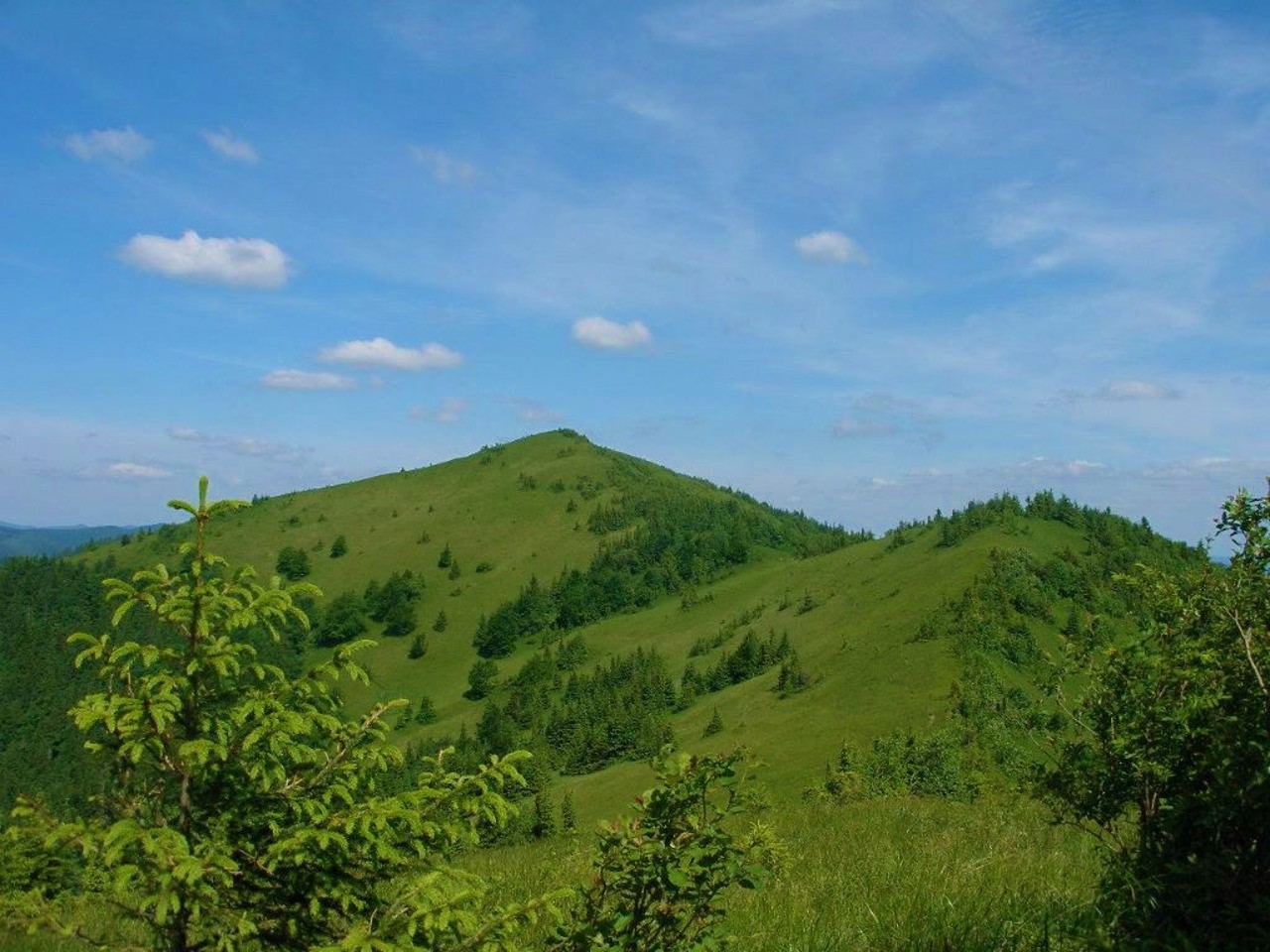 Skolivski Beskydy, Skole