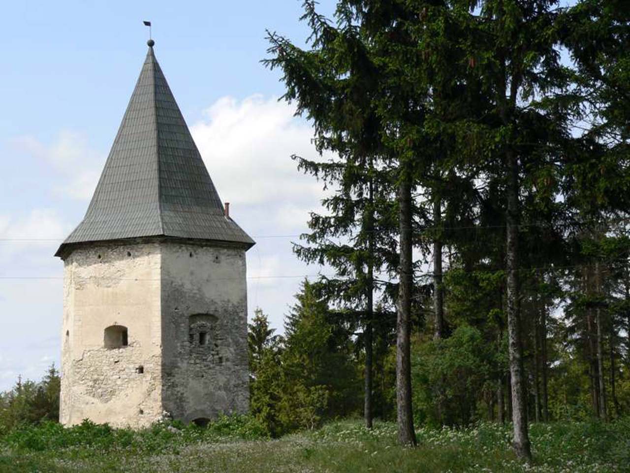 Кривченський замок Концьких, Кривче