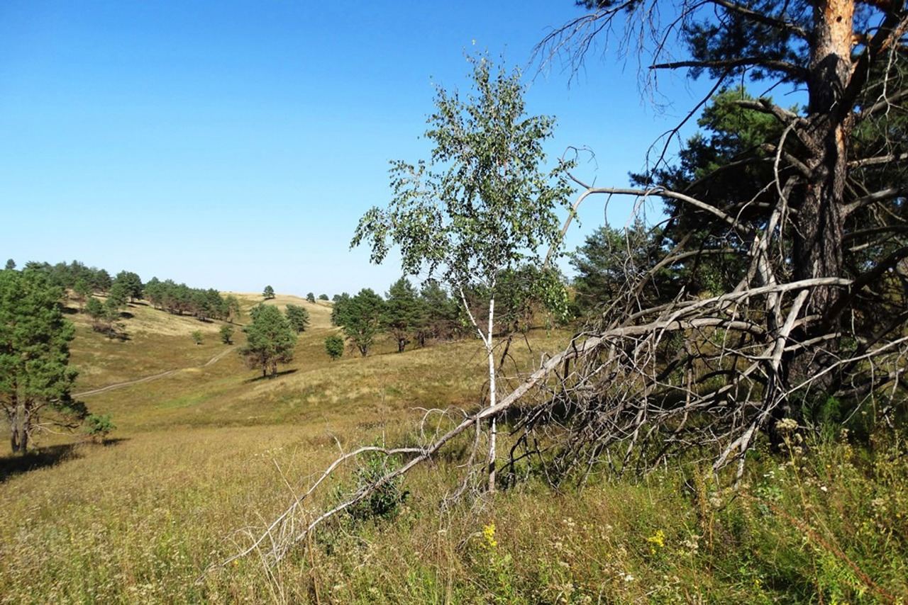 Landscape Reserve "Vasylkivski Carpathians", Velyka Buhaivka