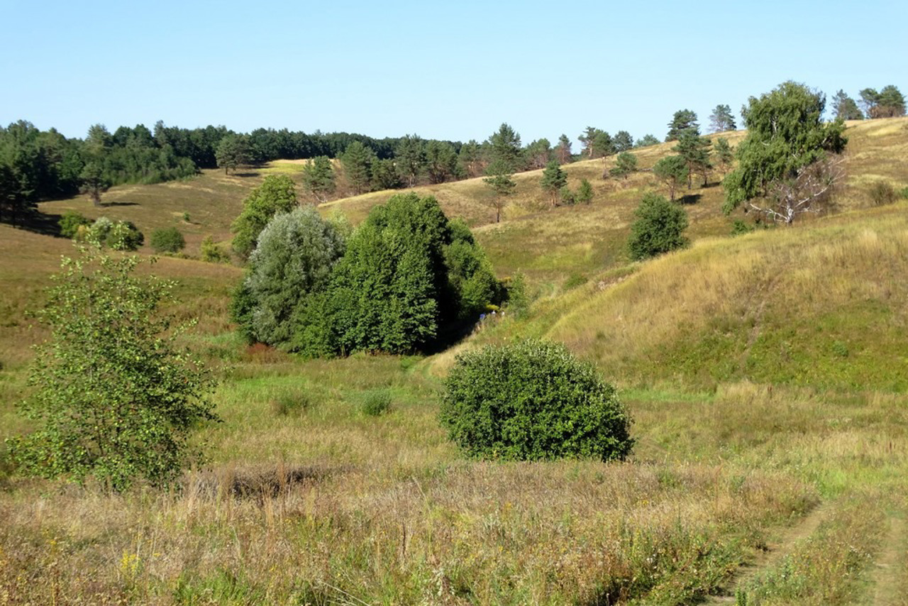 Landscape Reserve "Vasylkivski Carpathians", Velyka Buhaivka