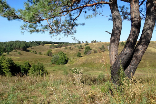 Landscape Reserve "Vasylkivski Carpathians", Velyka Buhaivka