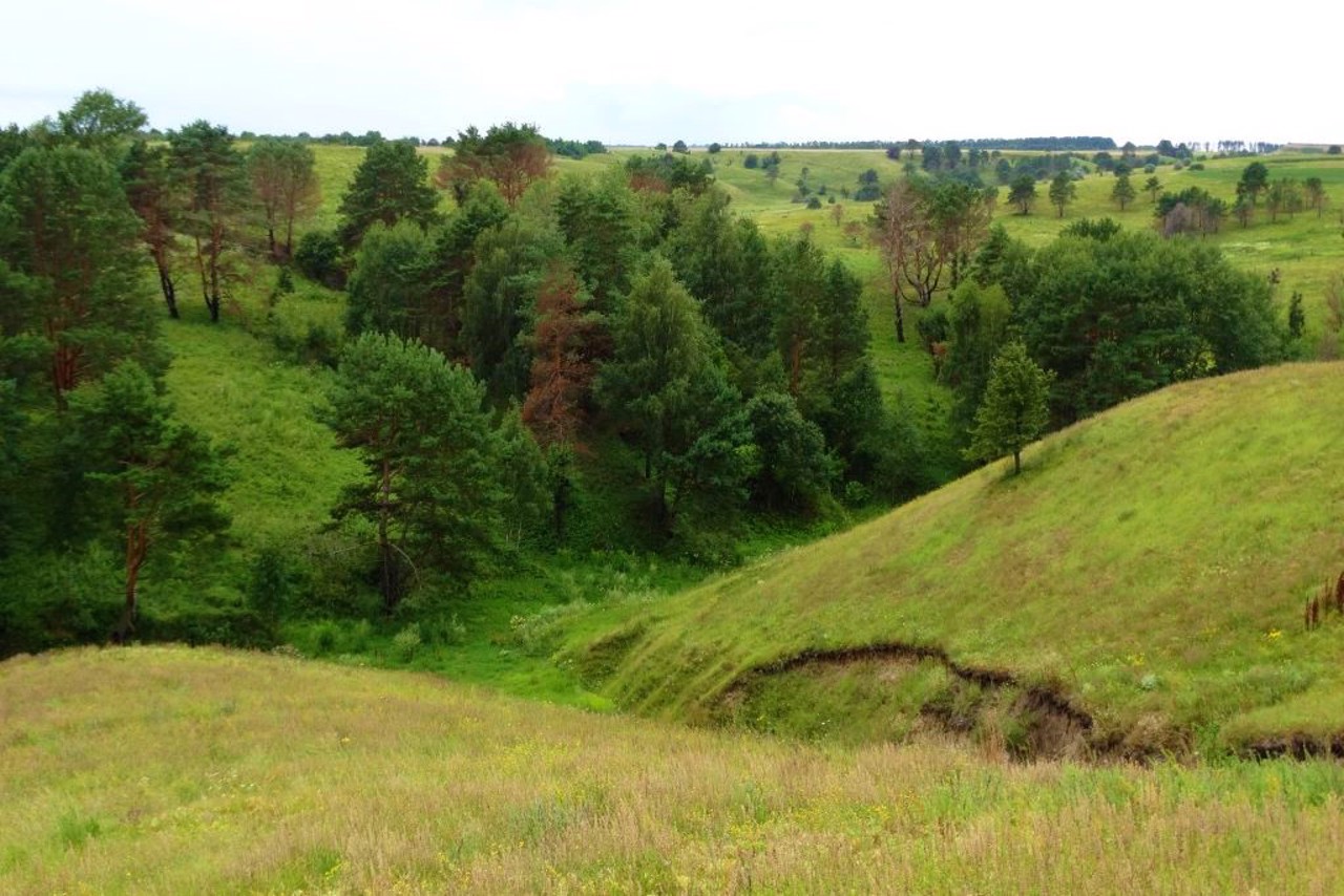 Урочище "Сказочный Яр", Великая Бугаевка