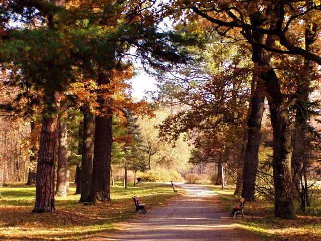 Oleksandriya Arboretum, Bila Tserkva