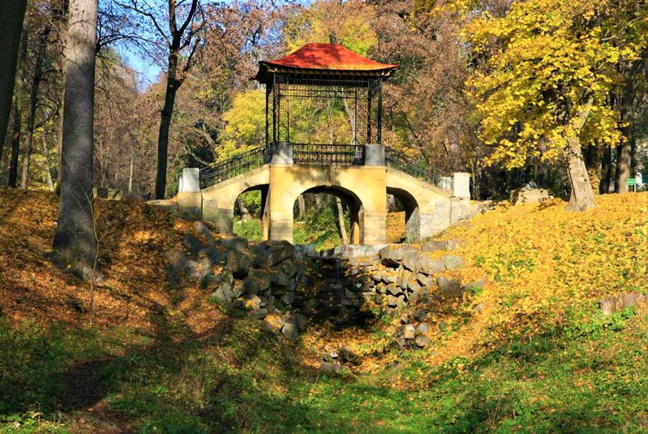 Oleksandriya Arboretum, Bila Tserkva