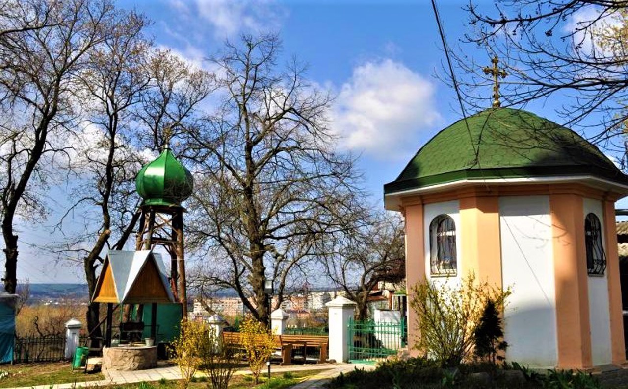 Anthony and Theodosius Cathedral, Vasylkiv