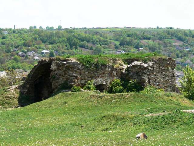 Озаринецький замок, Озаринці