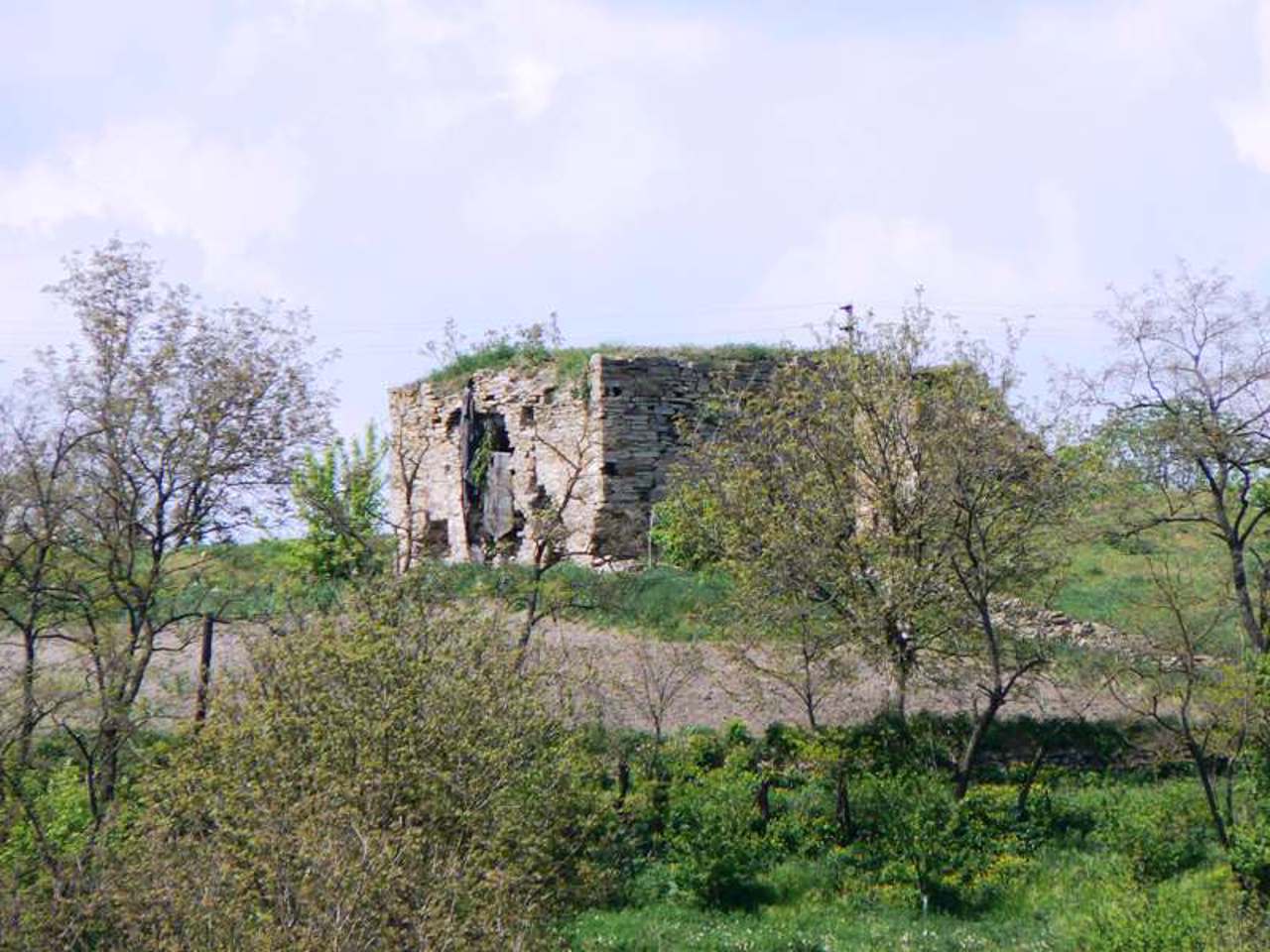 Озаринецький замок, Озаринці