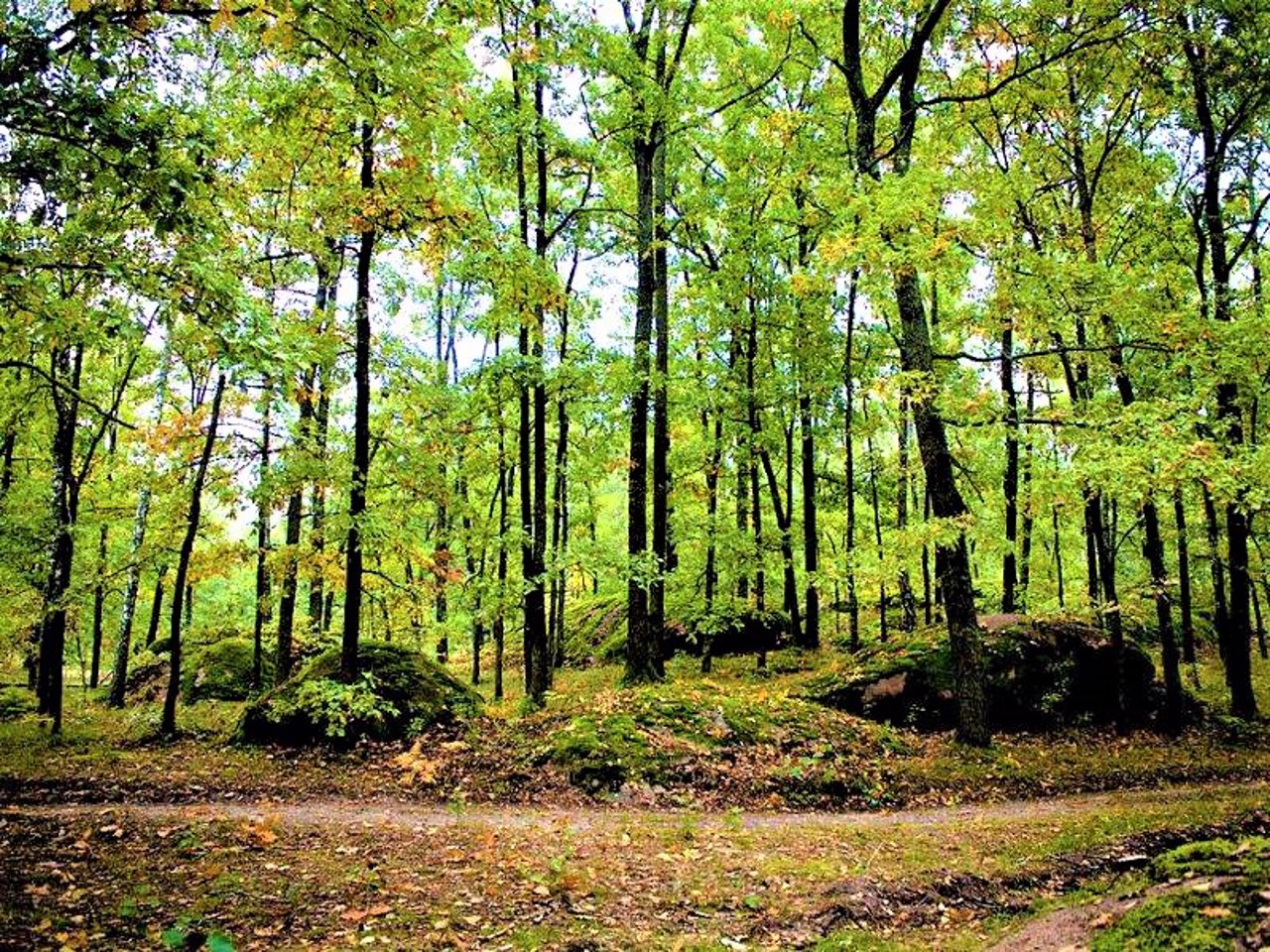 Каменное село, Рудня-Замысловичская