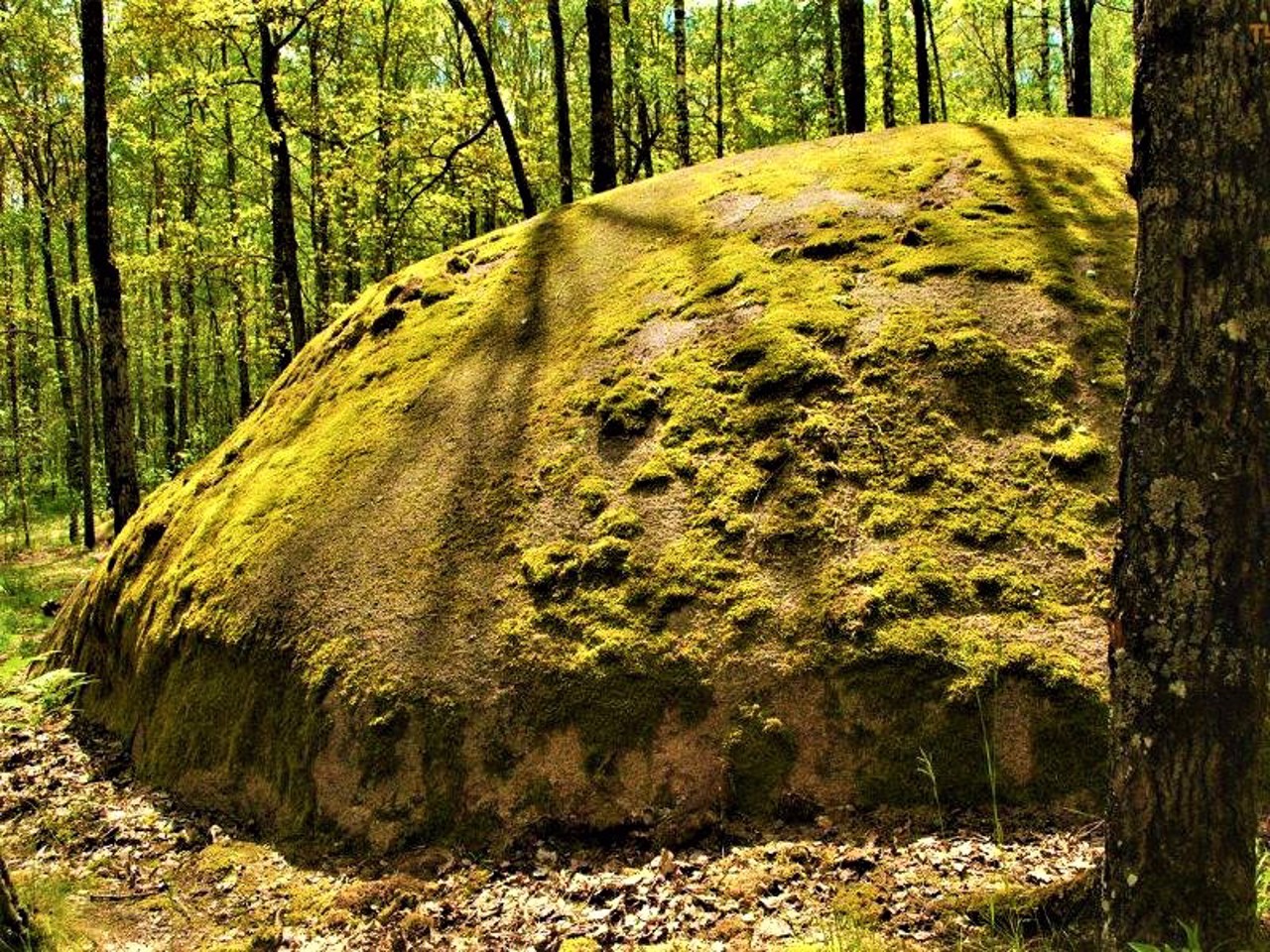 Каменное село, Рудня-Замысловичская