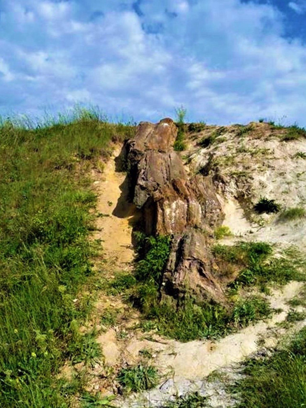 Stone forest, Oleksiievo-Druzhkivka