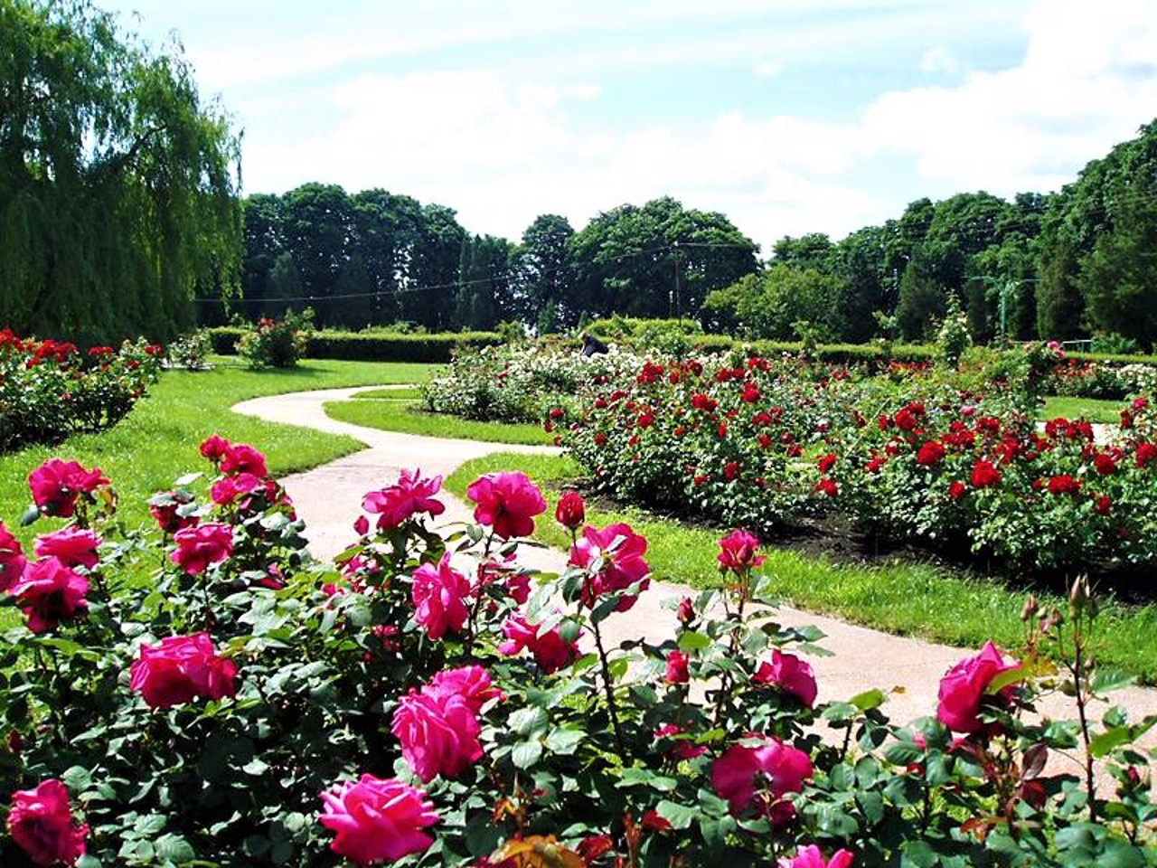 Botanical Garden Hryshko, Kyiv