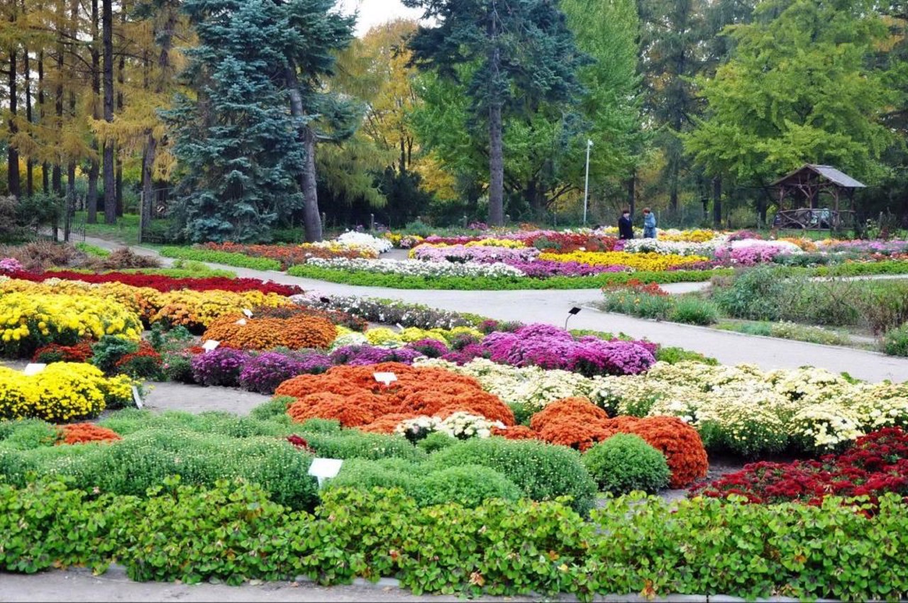 Botanical Garden Hryshko, Kyiv