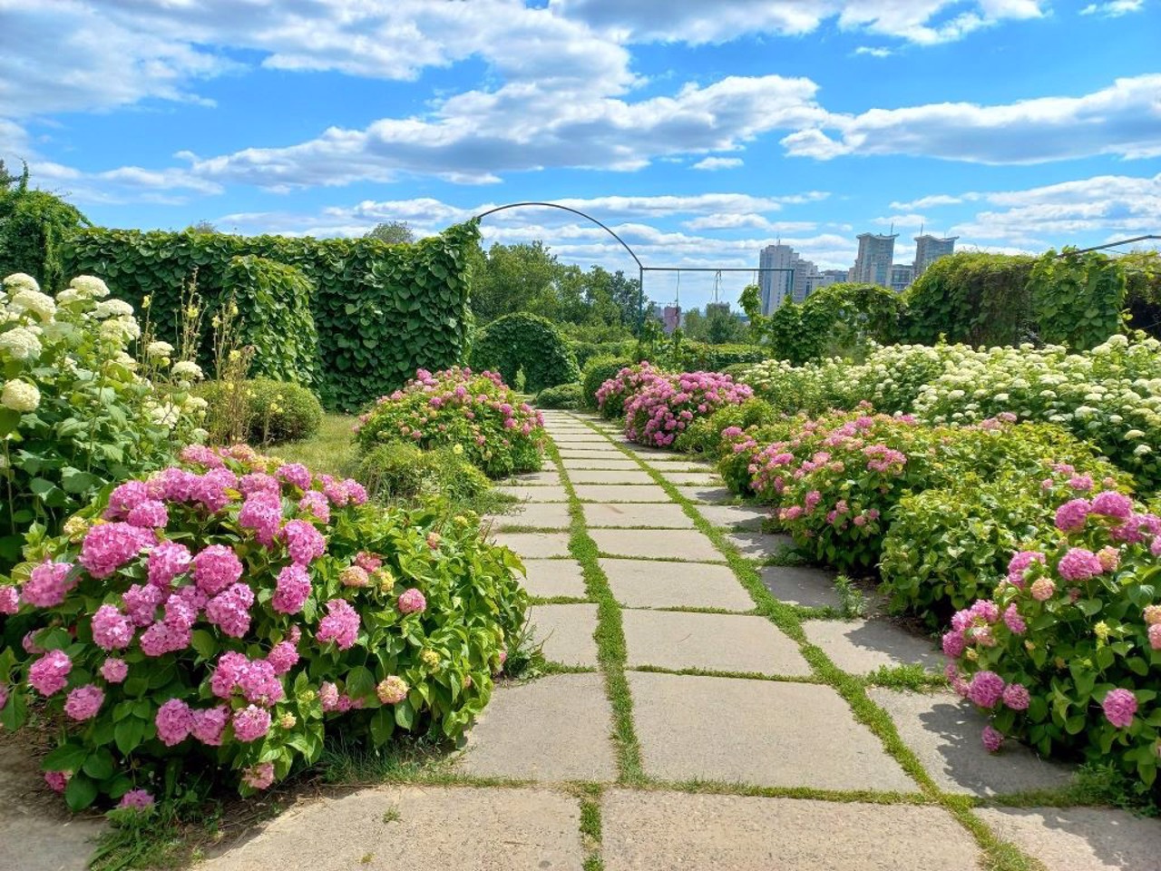 Botanical Garden Hryshko, Kyiv