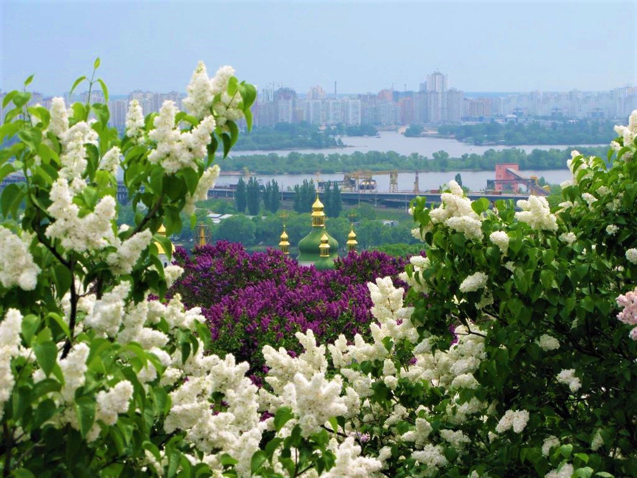 Botanical Garden Hryshko, Kyiv