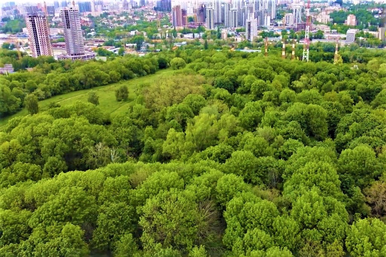 Lysa Hora (Bald mountain), Kyiv