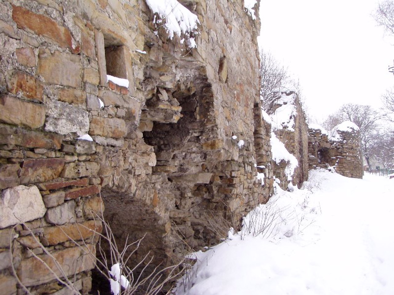 Mykulyntsi Castle