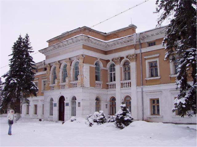 Potocki Palace, Mykulyntsi