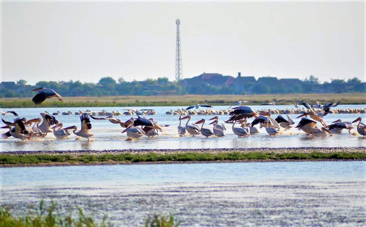 Danube Biosphere Reserve, Vylkove