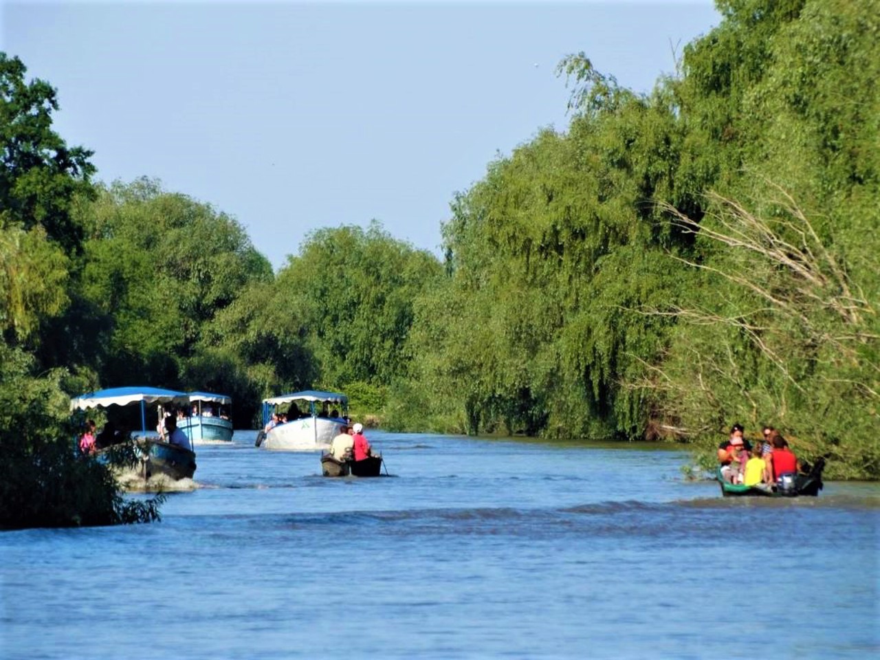 Дунайський заповідник, Вилкове