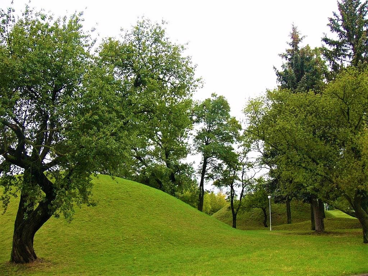Boldyni Hills, Chernihiv