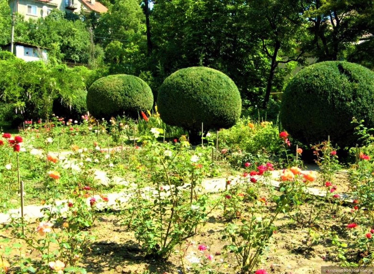 Botanical Garden, Uzhhorod
