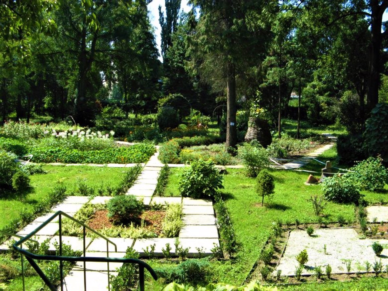 Ботанический сад, Ужгород