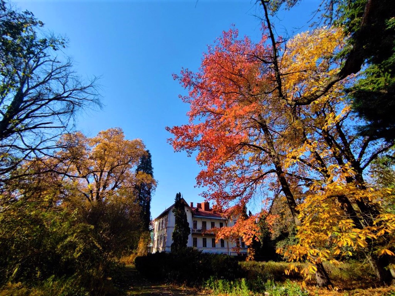 Botanical Garden, Chernivtsi