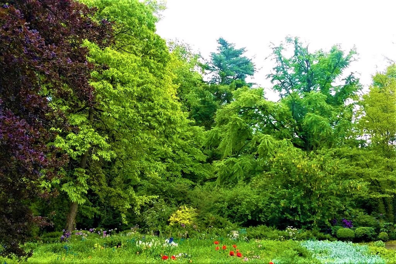 Botanical Garden, Chernivtsi