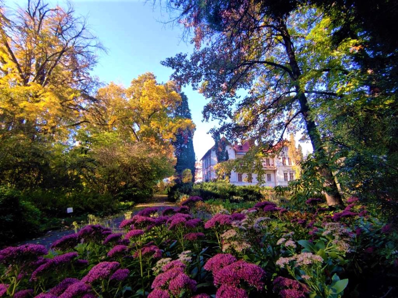 Botanical Garden, Chernivtsi