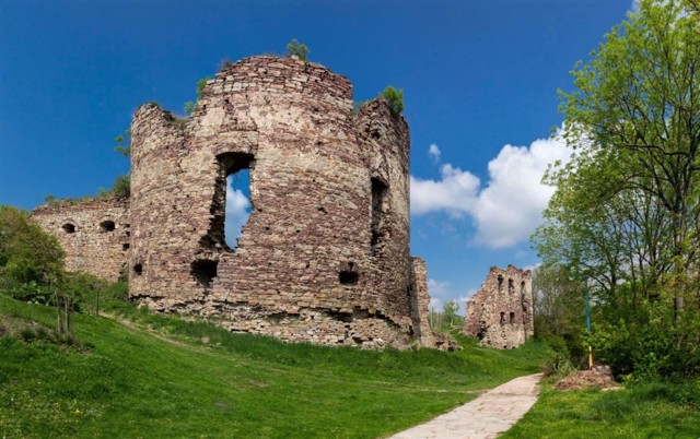 Buchach Castle