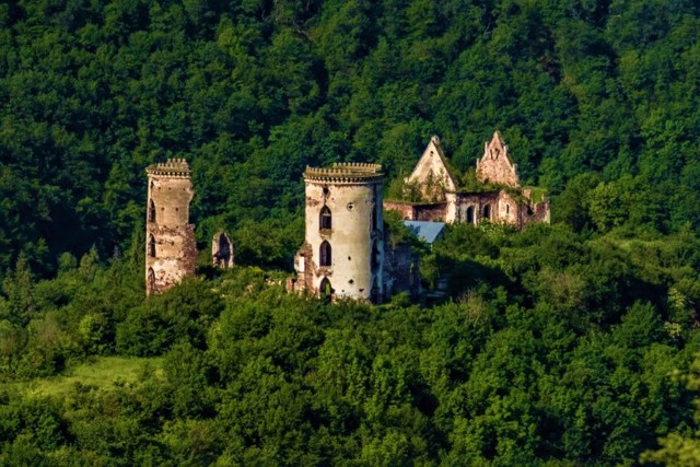 Червоногородский замок, Нырков