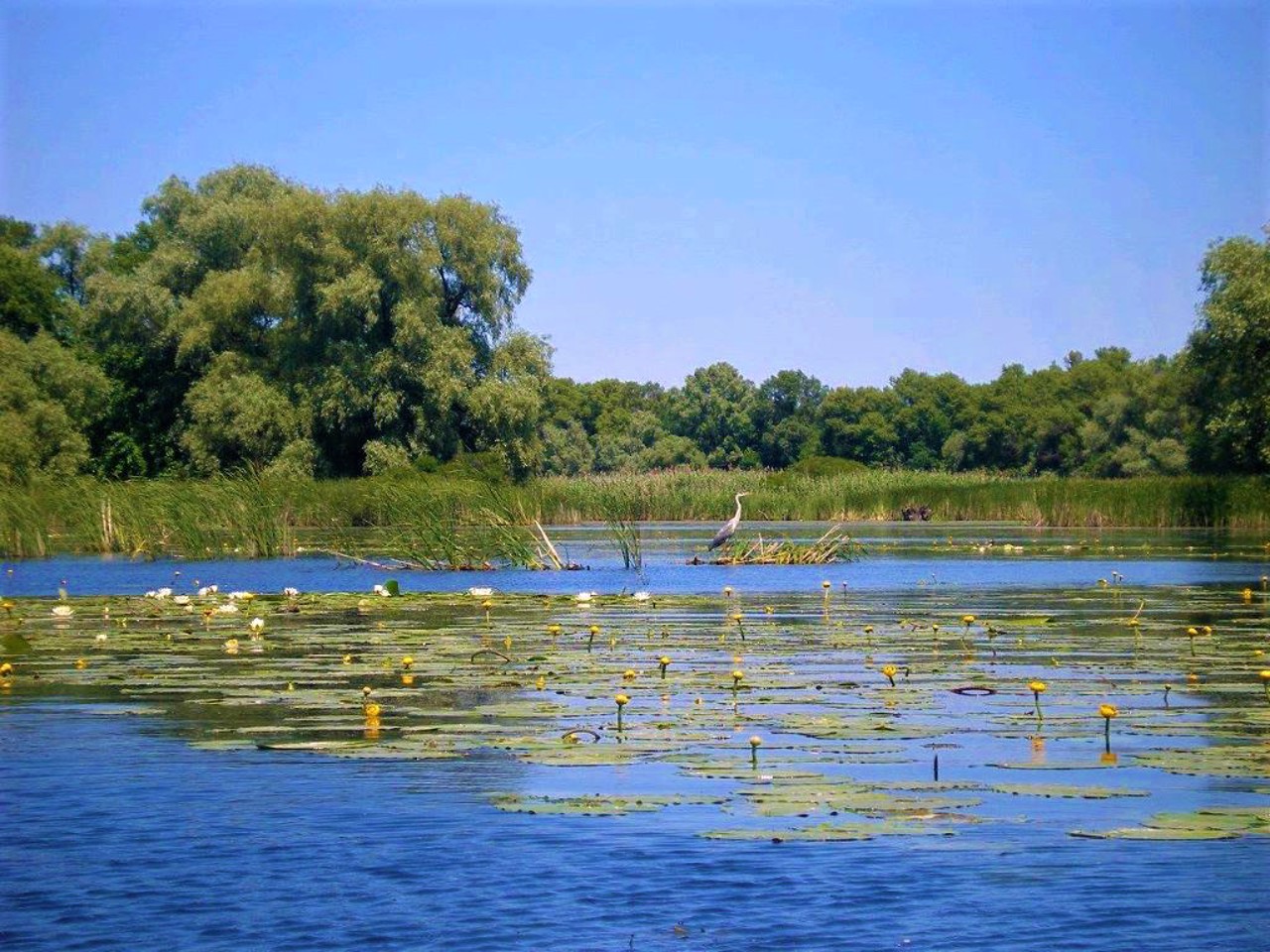 Остров Хортица, Запорожье