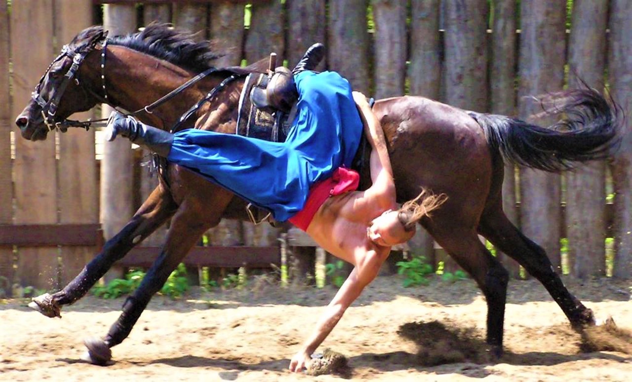 Конный театр, Запорожье