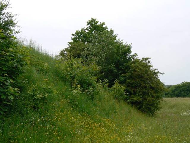 Plisnesko Hillfort, Pidhirtsi