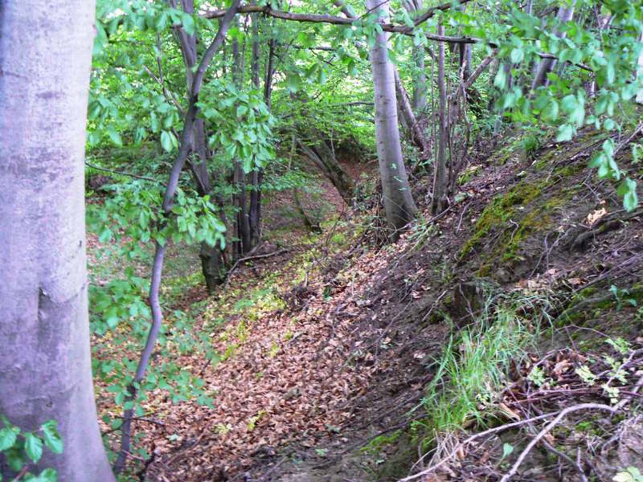 Plisnesko Hillfort, Pidhirtsi