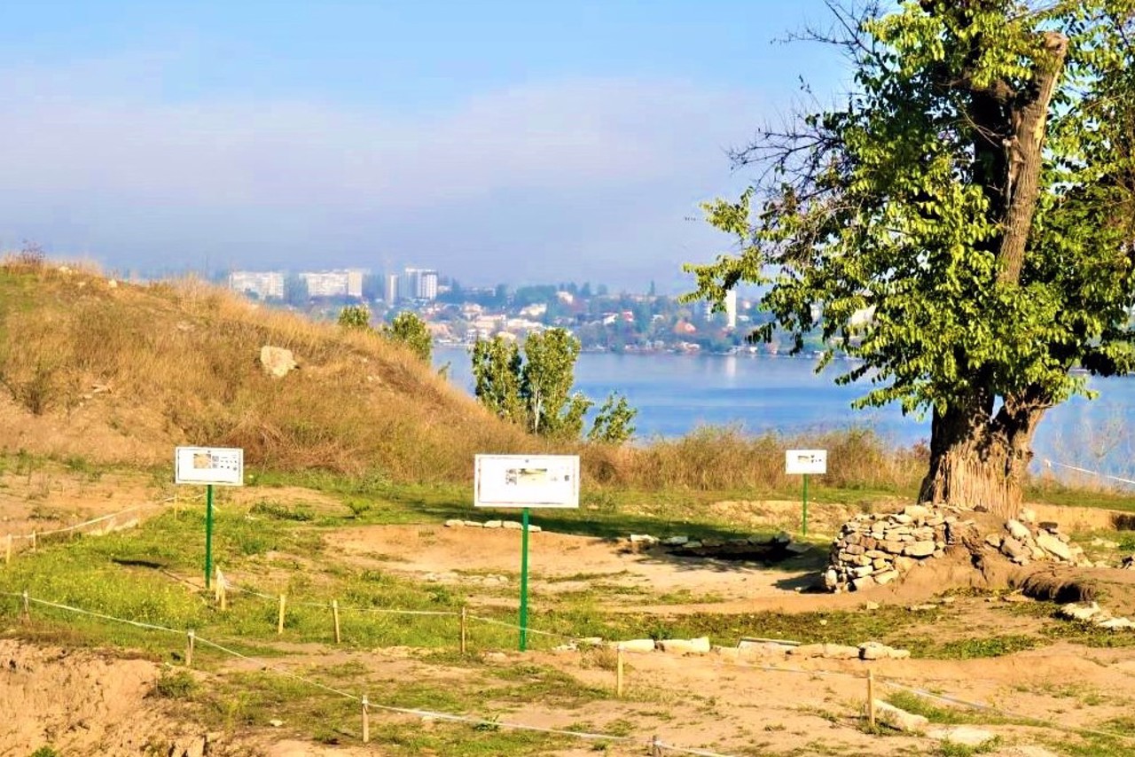 Wild Garden settlement, Mykolaiv