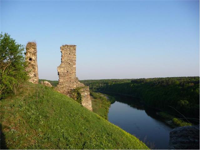 Губковский замок, Губков