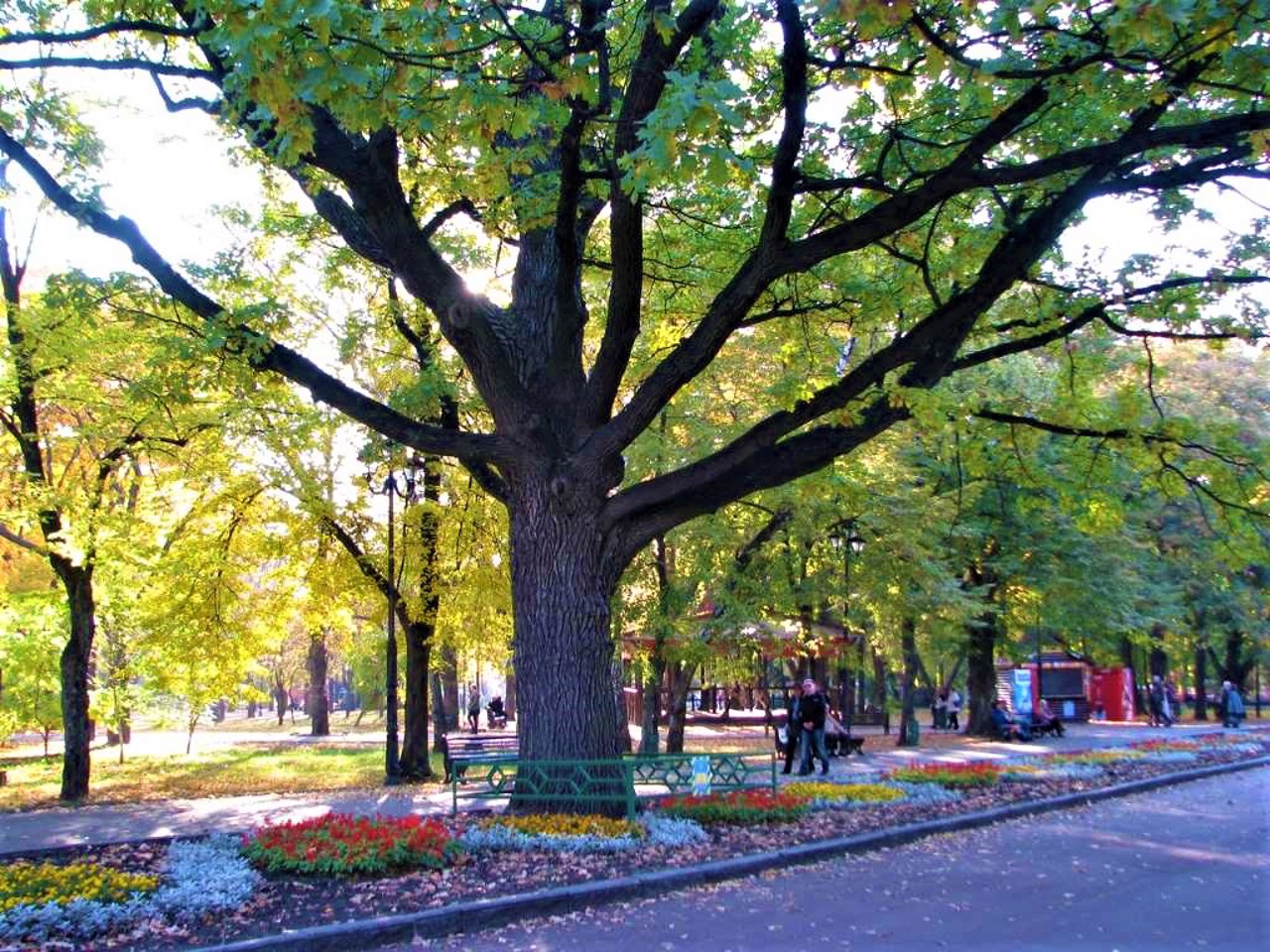 Shevchenko Garden, Kharkiv