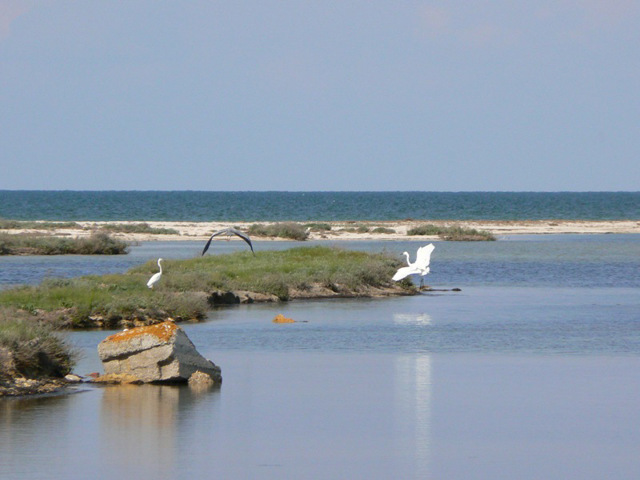 Лебяжьи острова, Портовое