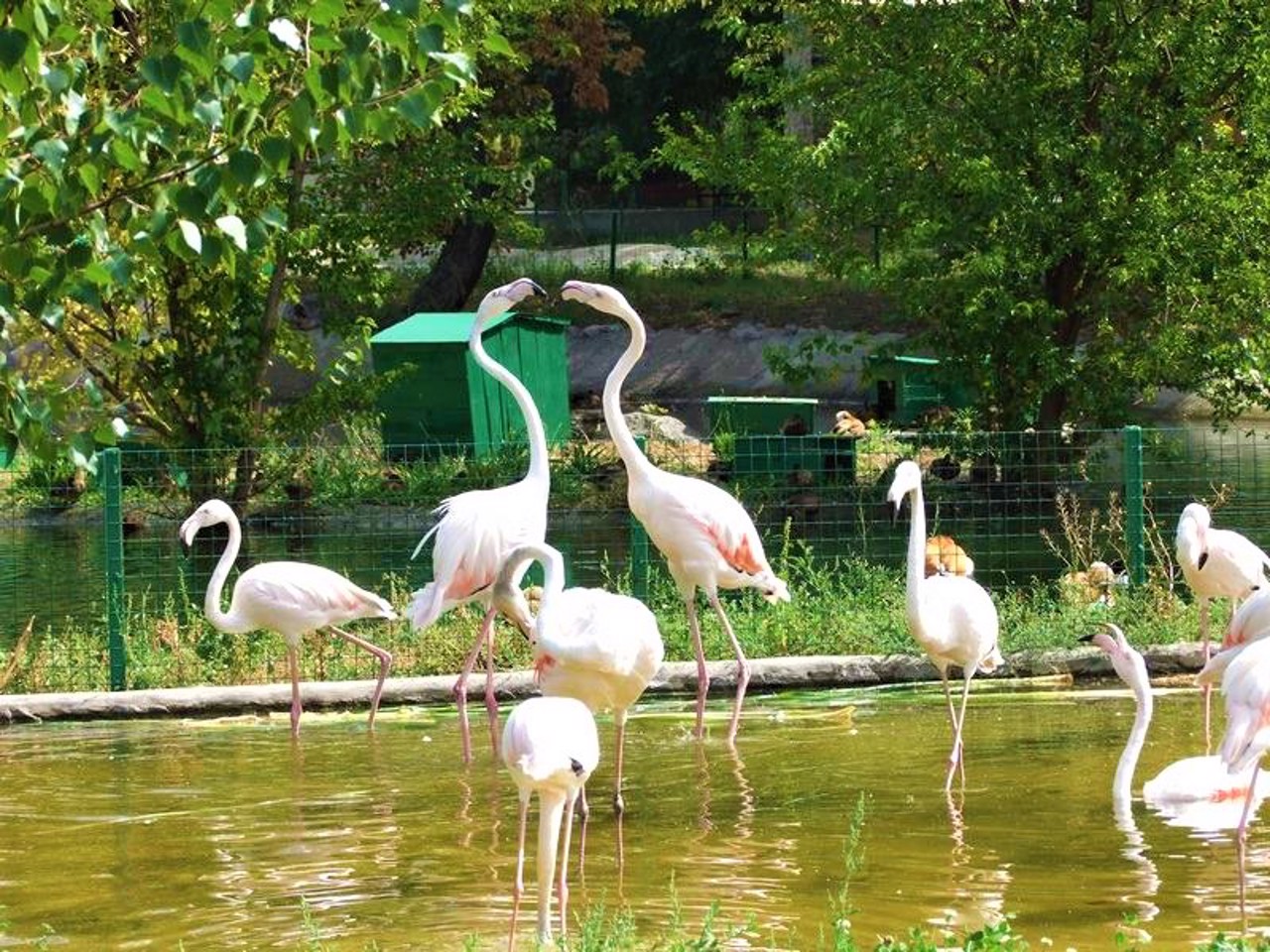 Харьковский зоопарк, Харьков