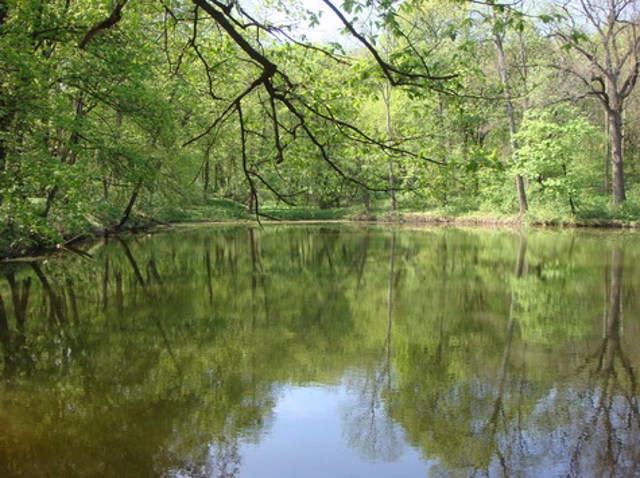 Краснокутский дендропарк, Основинцы