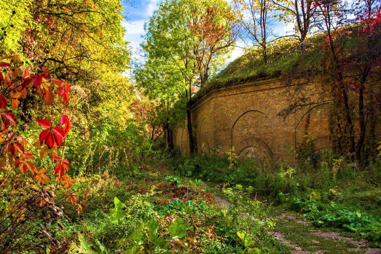 Таракановский форт, Дубно